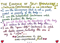The Essence of Self Knowledge