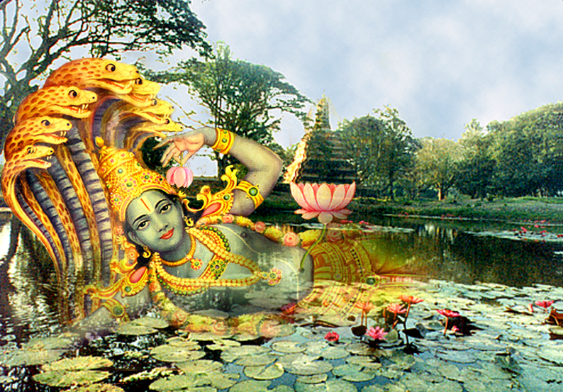 Lotus Vishnu
